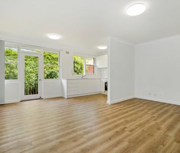 8/21 Shepherd Street, Ashfield NSW 2131 - House For Rent | Domain - Photo 5