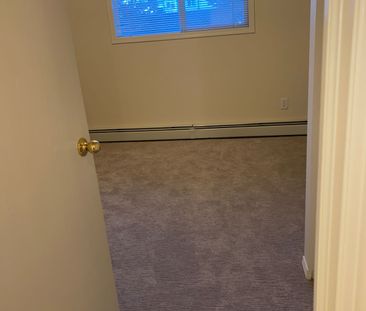 Apartment in Glanstobury with Great Incentive and Pet Friendly ! - Photo 3