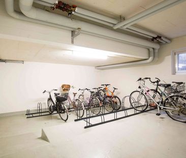 2.5 Zimmer, 48 m², 2. Stock - Photo 2