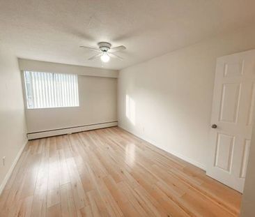 2 Bedroom + 1.5 Bathroom - Fully Renovated unit - Photo 2