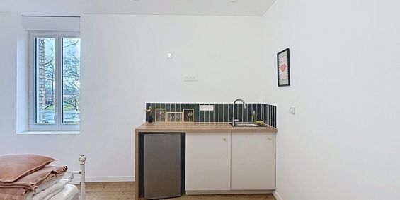 Location Appartement 1 pièce 38m² GAILLAC 81600 - Photo 3