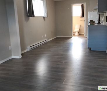 1A-3, rue Guertin, Gatineau (Gatineau) à louer - Photo 4