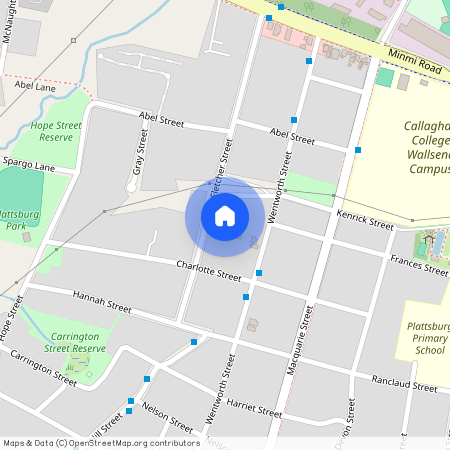 41 Fletcher Street, NSW 2287, Wallsend