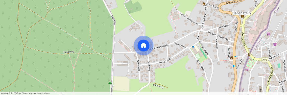 Alte Sportplatzstraße 38, 09471 Sachsen - Bärenstein