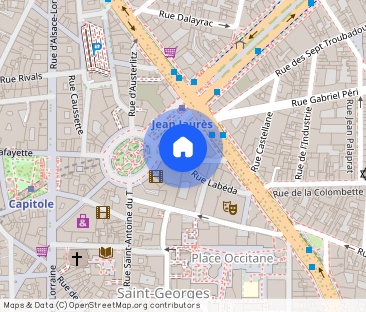 Appartement avec cachet au centre ville de Toulouse - Photo 1