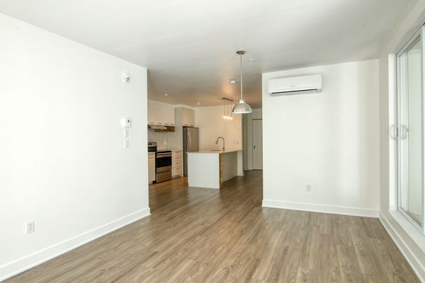 9675 Av. Papineau - Photo 1