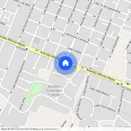Jardines Coloniales 1 sector, San Pedro Garza García, Nuevo León, 66233, México
