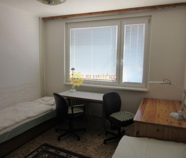 Pronájem bytu pokoj 20 m2 - Fotografie 2
