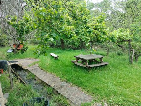 Belgrave South - Photo 5