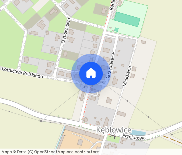 Mieszkanie do wynajęcia w pałacu w Rybnicy. - Photo 1