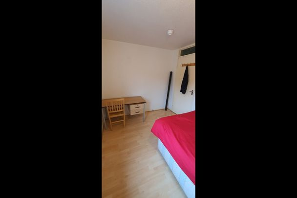 Room in a Shared House, London, SE17 - Photo 1