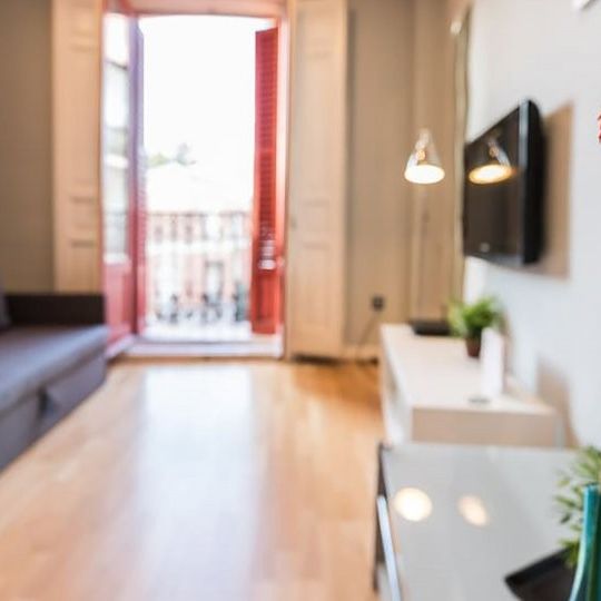 madrid, Community of Madrid 28012 - Photo 1