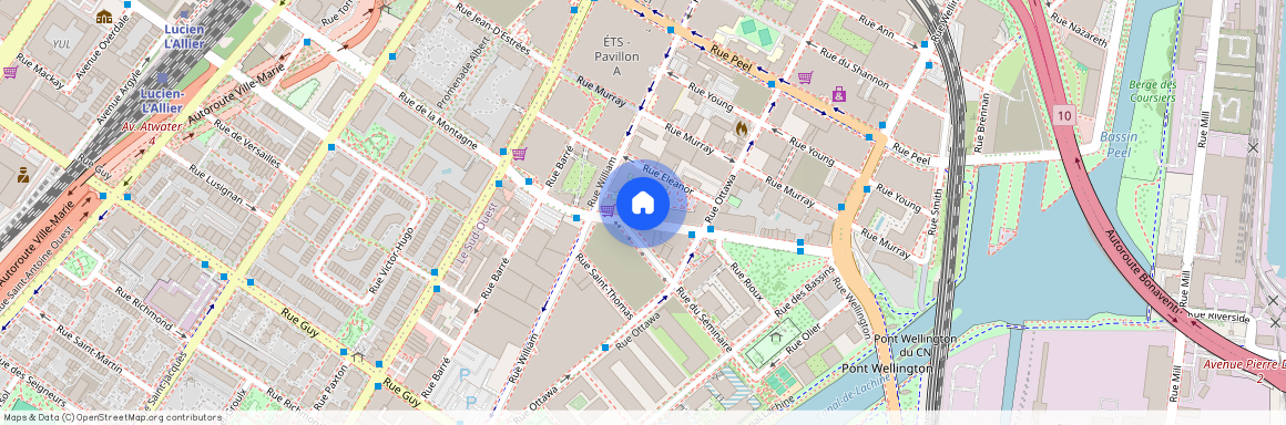 305 Rue de la Montagne, Montréal, QC