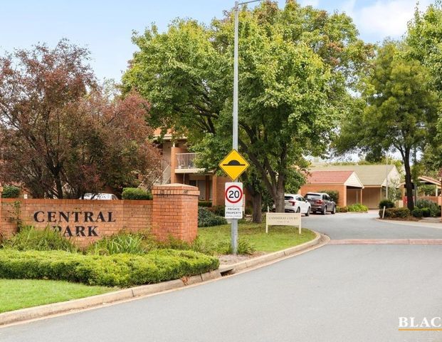 63/12 Albermarle Place, Phillip ACT 2606 - Apartment For Rent | Domain - Photo 1