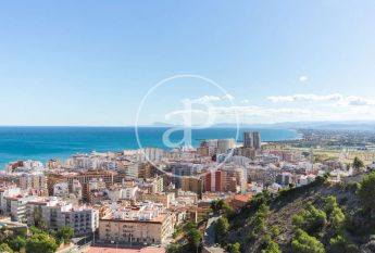 Cullera