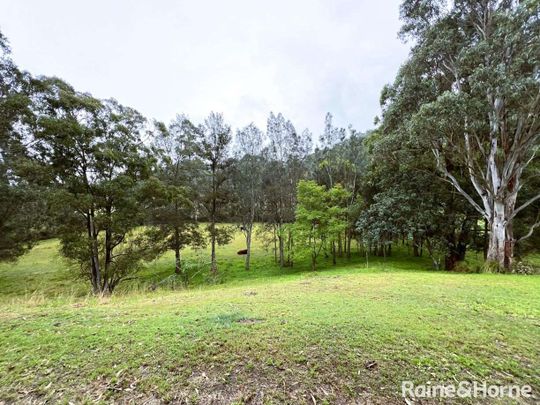 1656 Maitland Vane Road, Lambs Valley, NSW 2335 - Photo 1