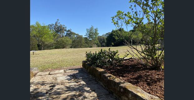 Fully Renovated 3 bedroom rural oasis - Photo 1