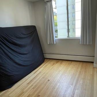 One Bedroom across from English Bay - Photo 4