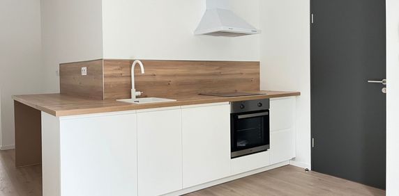 Location Appartement 2 pièces 29m² MONTIGNY LES METZ 57950 - Photo 2