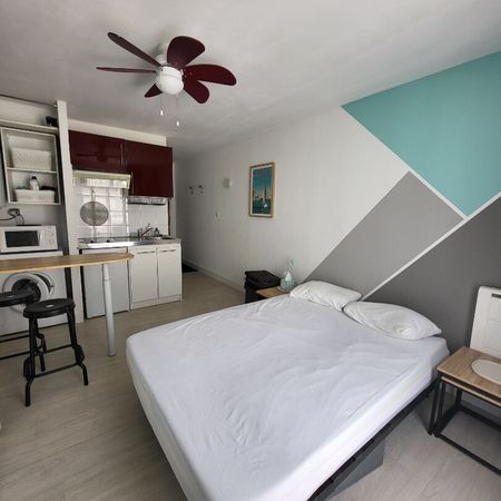 Location Appartement 1 pièce 19m² - Photo 3