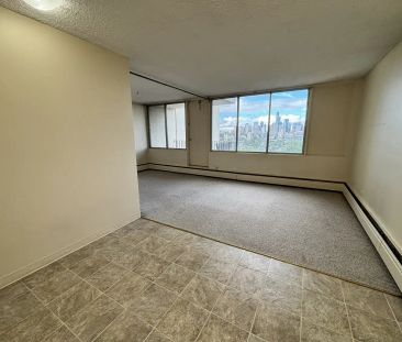 Cityview Tower — Studio - Photo 5
