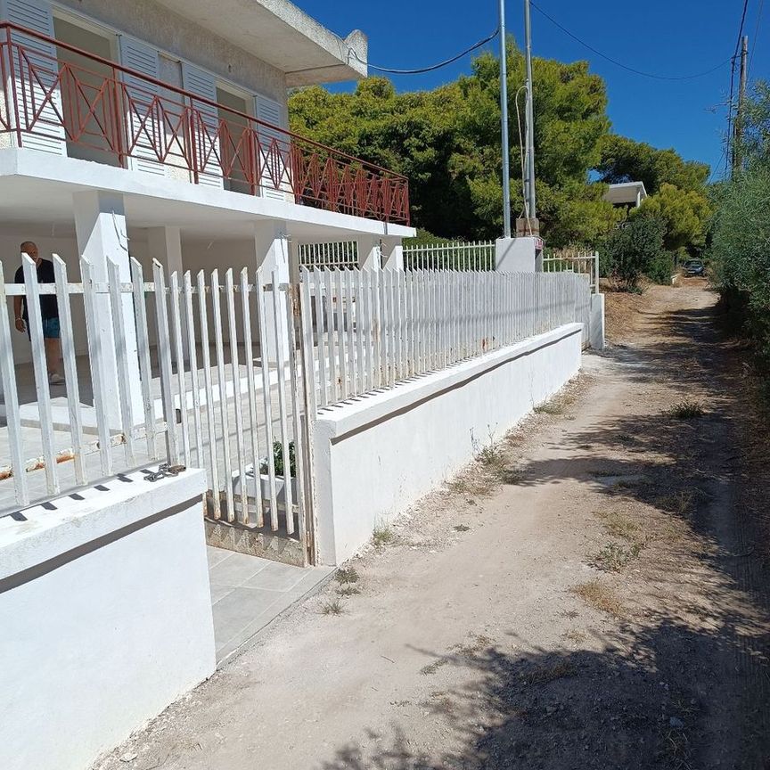 Μονοκατοικία για ενοικίαση Βραυρώνα (Αρτέμιδα (Λούτσα)) - Φωτογραφία 1
