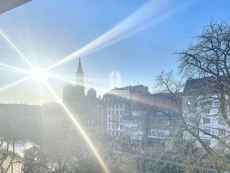 KRUTENAU - 1P MEUBLE - 27.99m² - Photo 4