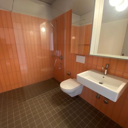 Moderne Wohnung in Winterthur - Foto 4