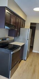 SPACIOUS FULLY RENOVATED TWO BEDROOM TOWNHOUSE - Photo 4