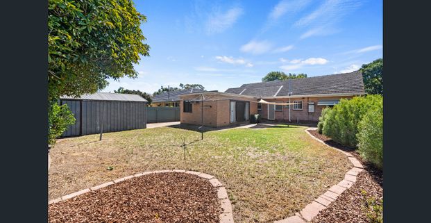 Spacious Living Between City & Sea! - Photo 1