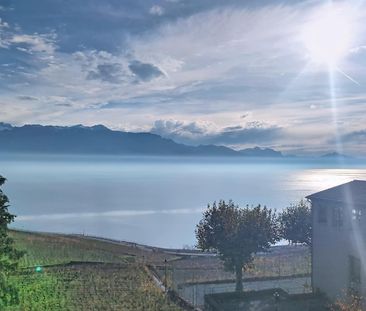 Situé au cour du pittoresque village d'Epesses, cet appartement de ... - Photo 3