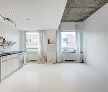 Condo for rent, Montréal (Villeray/Saint-Michel/Parc-Extension) - Photo 6