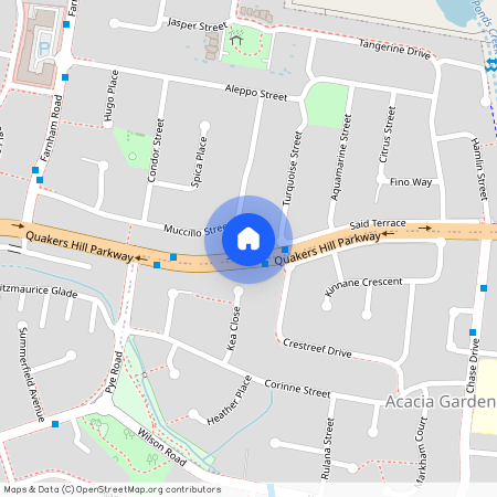 46 Muccillo Street, Quakers Hill NSW 2763