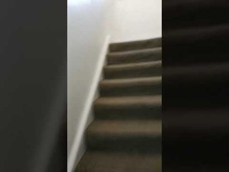 1 Bed Flat, Lower Addiscombe Road, CR0 - Photo 5