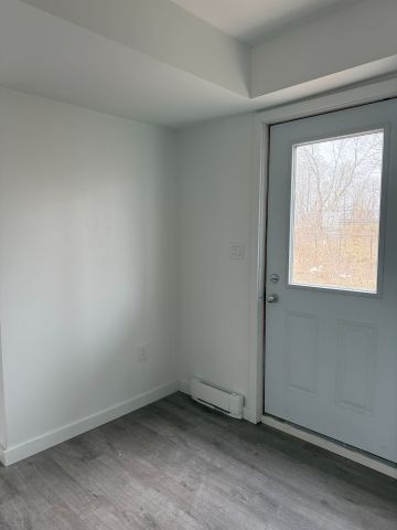 For Lease - 127 Highriver Trail Unit# (LOWER), Welland, Ontario - Photo 4