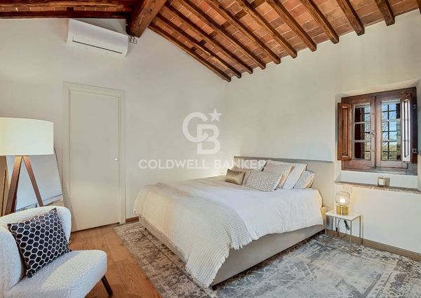 viale apua, Pietrasanta, Tuscany 55045