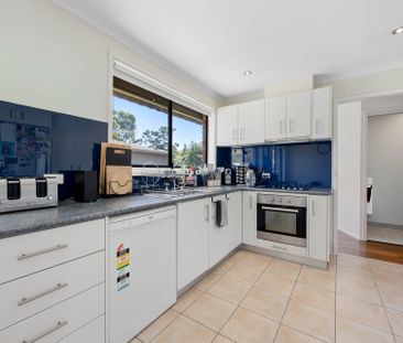 Corner Block Comfort with Space, Style & A Trades-Ready Shed - Photo 6