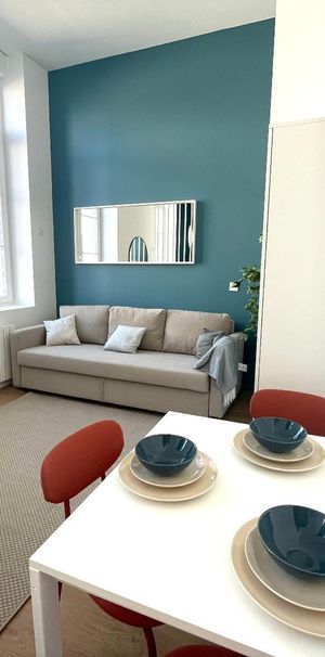Location Appartement 1 pièce 23m² ST ETIENNE 42000 - Photo 1