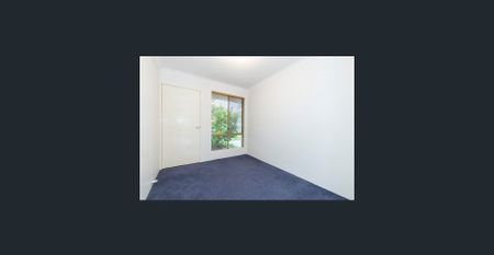 2 Garden Sheds and a Large Undercover Patio - Photo 5