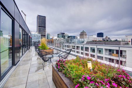 Appartement à louer, Montréal (Ville-Marie) - Photo 3