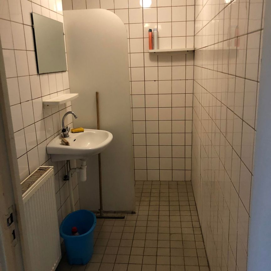 Vleerackers - Foto 1