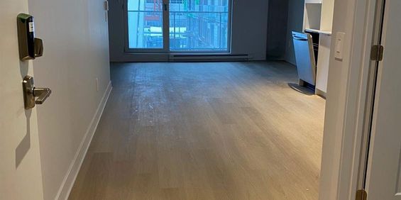 1 CH - 1 SDB - Montreal - $1,845 /mo - Photo 3