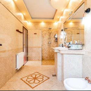 Vilă luxoasă pentru multiple activități, Zona Dumbravita - Fotografie 2