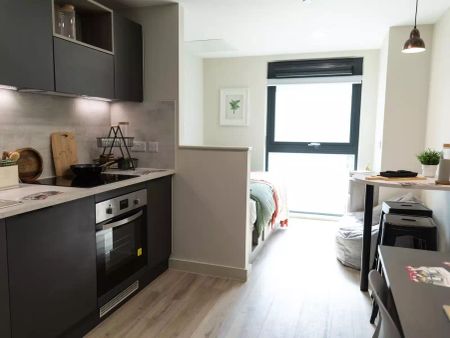 Deluxe Plus Studio - Photo 3