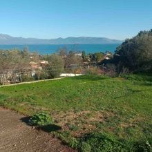 Βίλα για ενοικίαση - Μαρκόπουλο Ωρωπού, - Photo 1