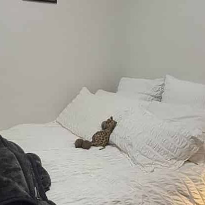 Fully Renovated Gem in Aro Valley - Photo 1