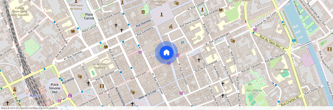 44 RUE DES DOMINICAINS, Gambetta Carmes Faiencerie, Nancy