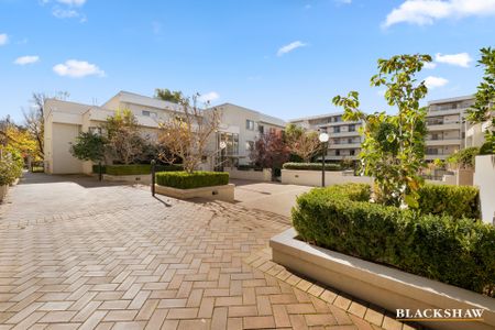 86/23 Macquarie Street, Barton ACT 2600 - Apartment For Rent | Domain - Photo 5