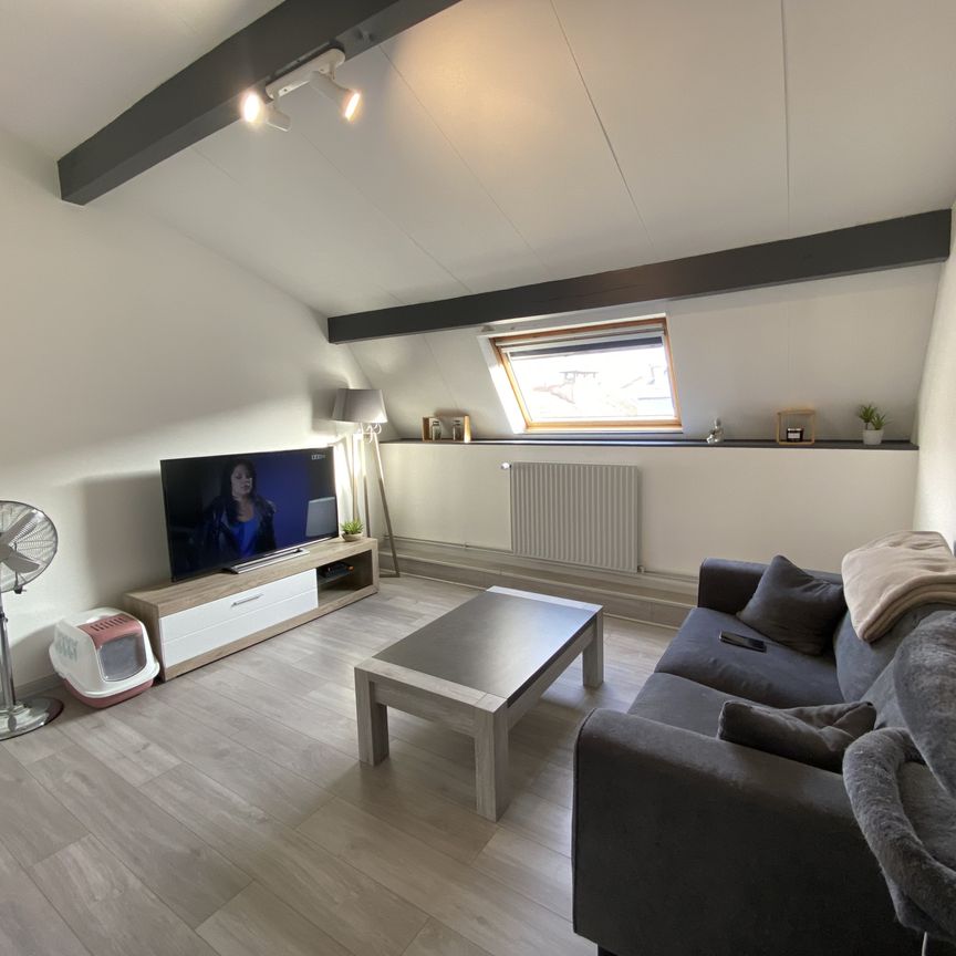 Location Appartement 2 pièces 44m² REMIREMONT 88200 - Photo 1