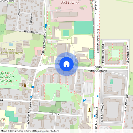 ul. Opalińskich, Leszno, wielkopolskie